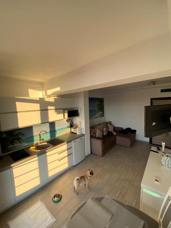 Apartament Edu Beach Resort นาโวดาริ ภายนอก รูปภาพ